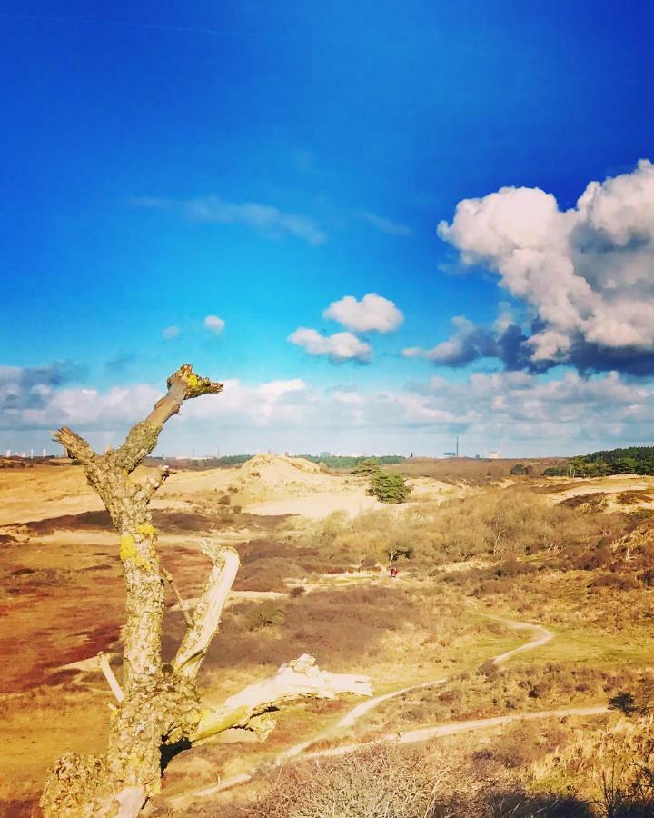 Appartamento Achter De Duinen Zandvoort Esterno foto